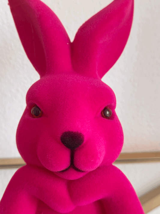 Hase Mark Samtoptik in Pink