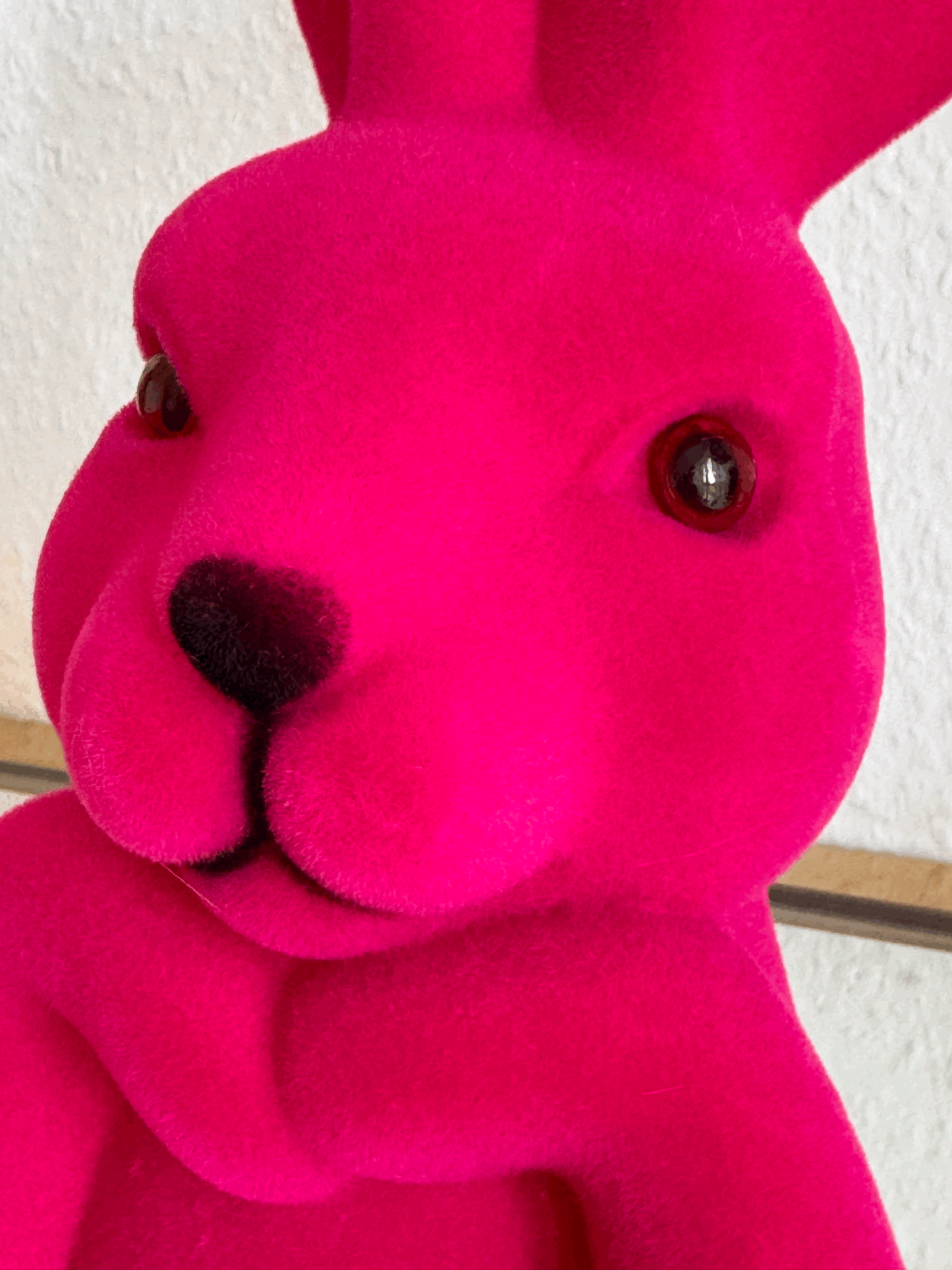 Hase Mark Samtoptik in Pink