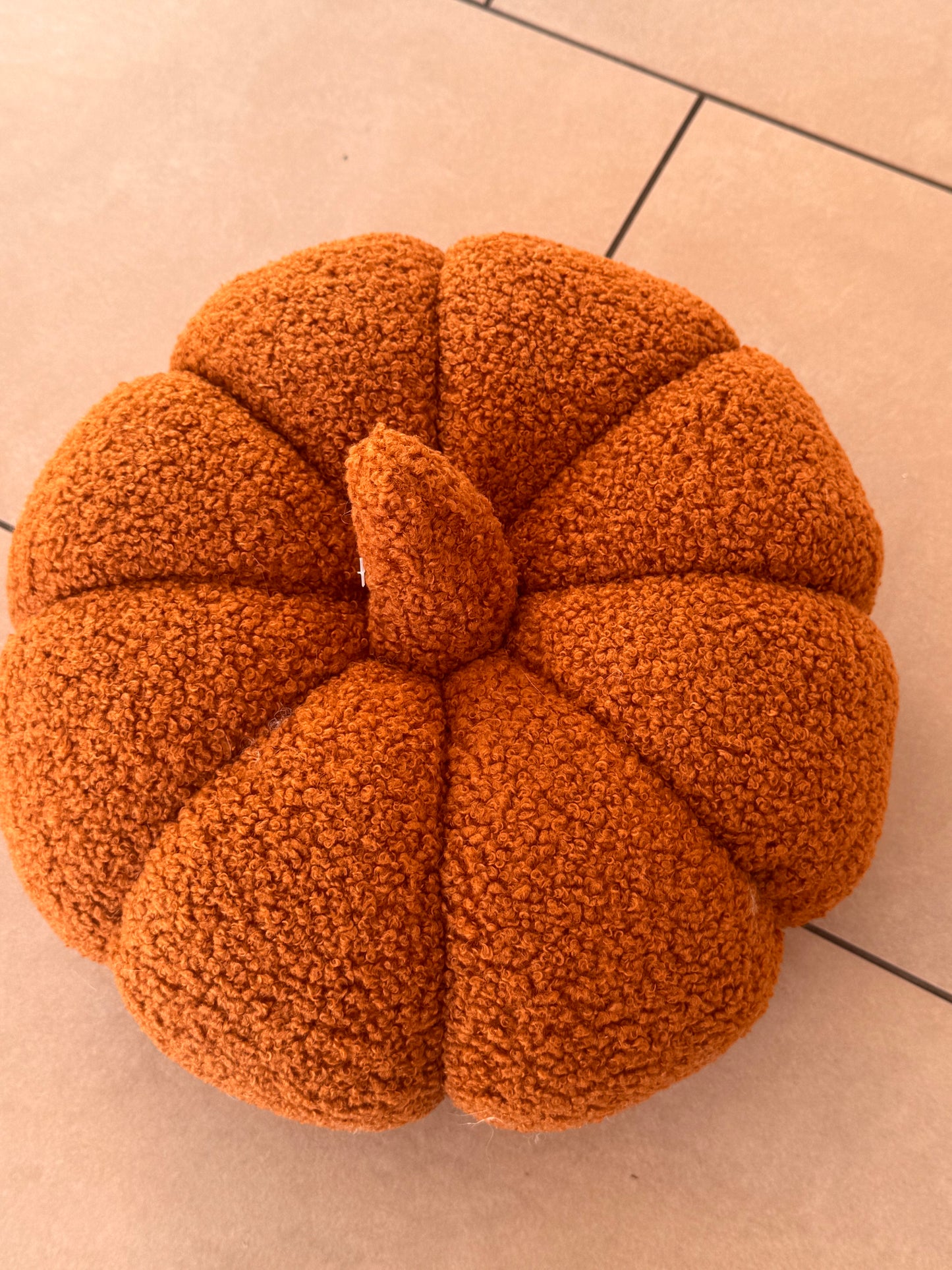 Kissen Kürbis Dans von Exner braun