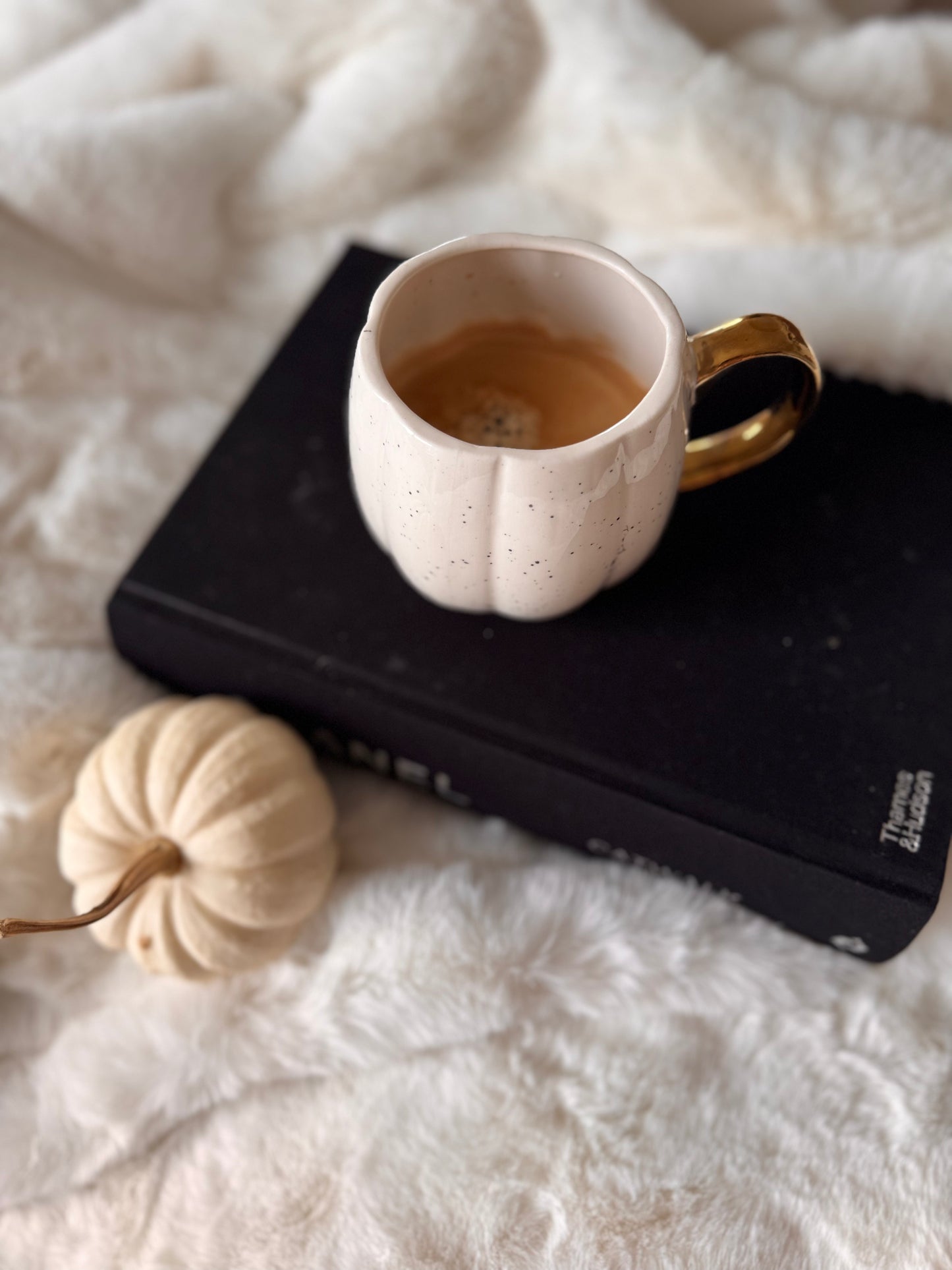 Kuschelige Wohndecke Zinzi weiß / schwarz edel 140 x 180 cm