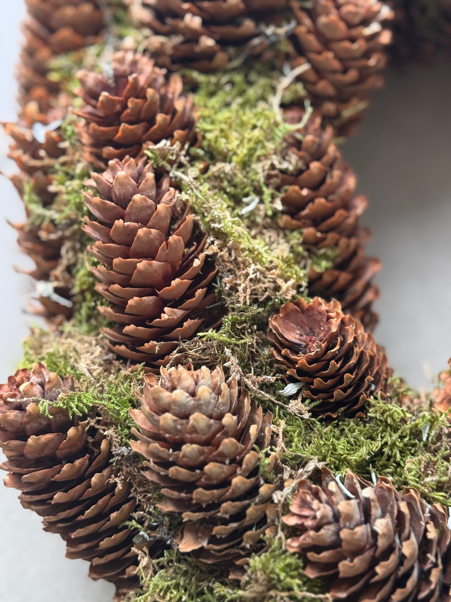 Mooskranz mit Tannenzapfen 40 cm von Couronne