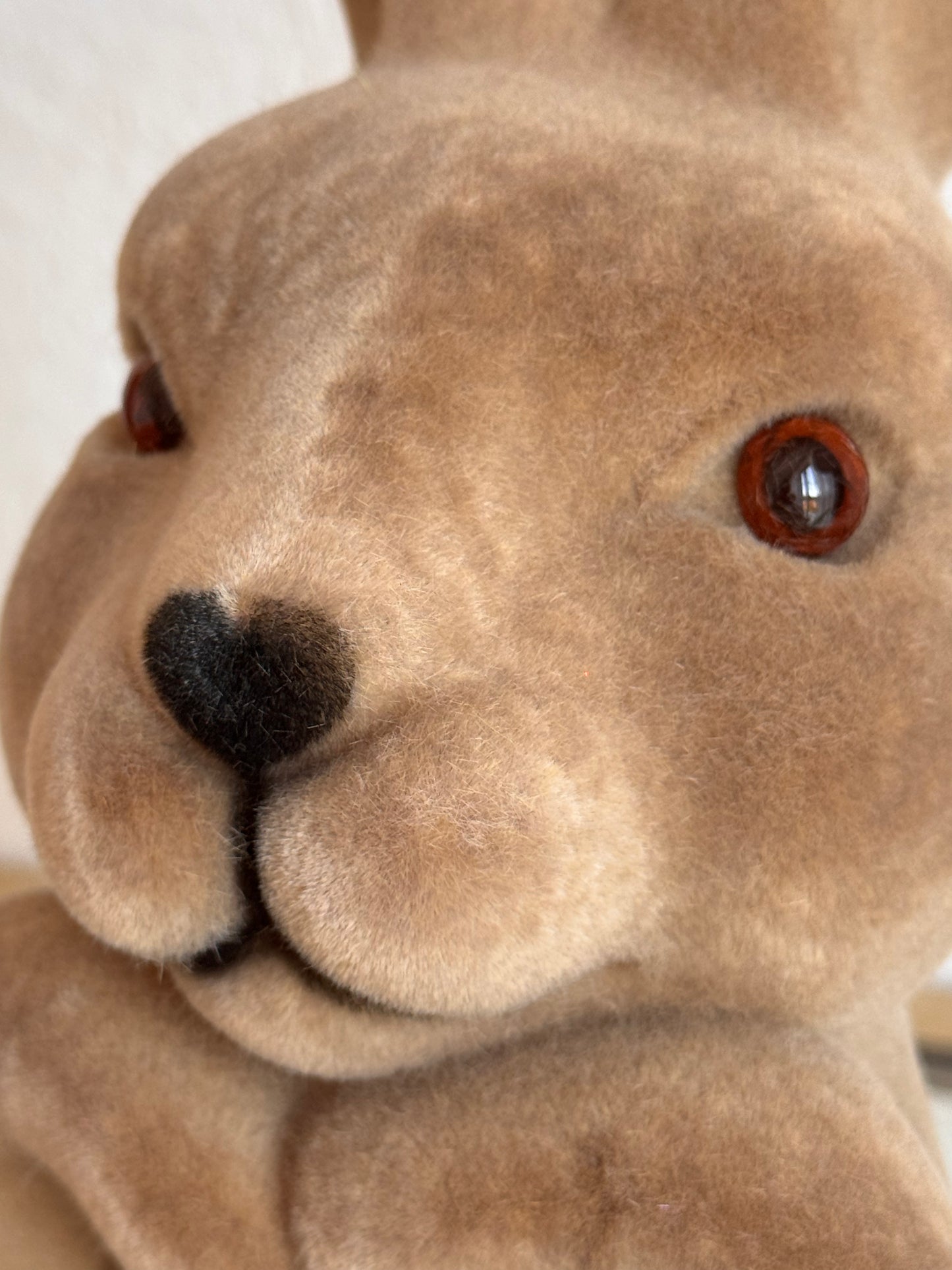 Hase Mark Samtoptik in Braun 26 cm