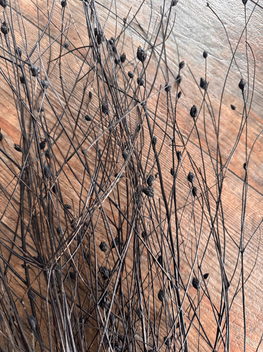 Elegante Deko-Gräser in Schwarz -Bund ca. 130 cm