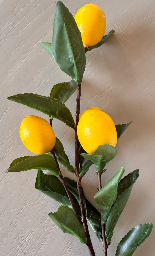 Künstiliche Zitronen Zweige