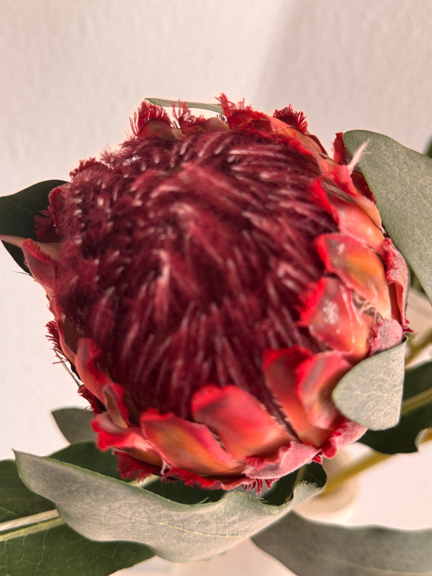 Künsticher Queen Protea Stem Zweig -Langlebiger Zweig