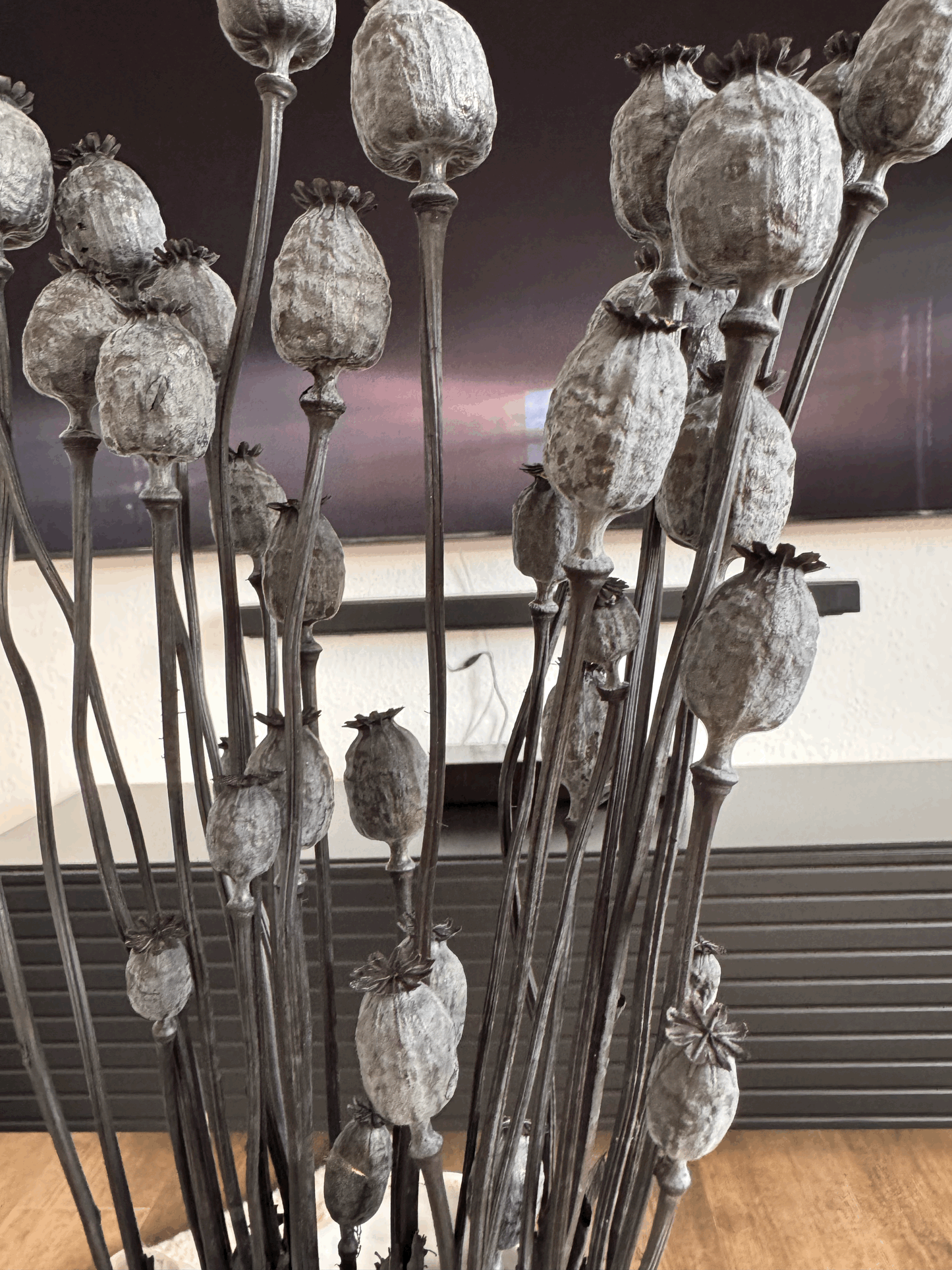 Getrockneter Mohnblumenstrauß in Schwarz