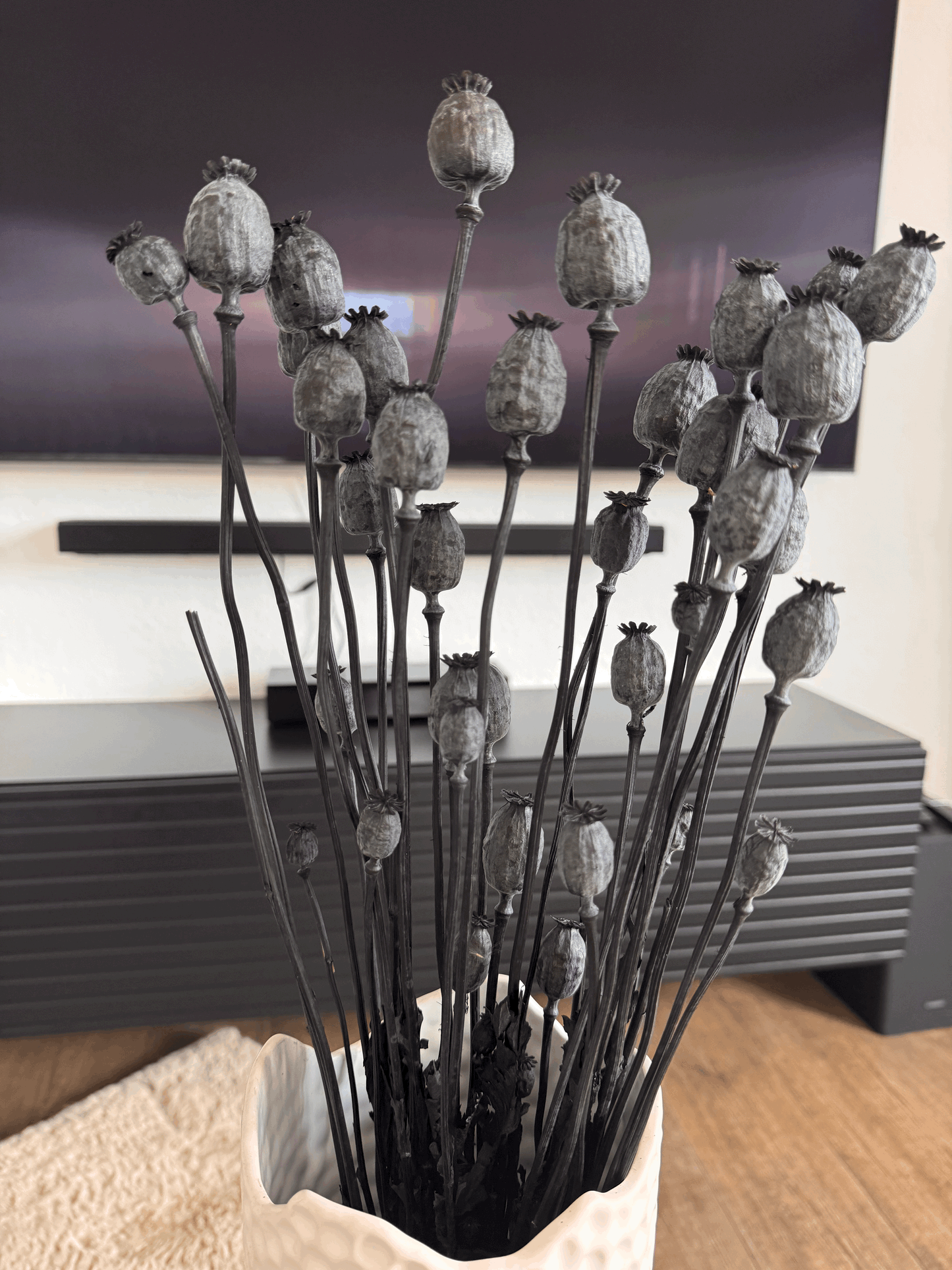 Getrockneter Mohnblumenstrauß in Schwarz