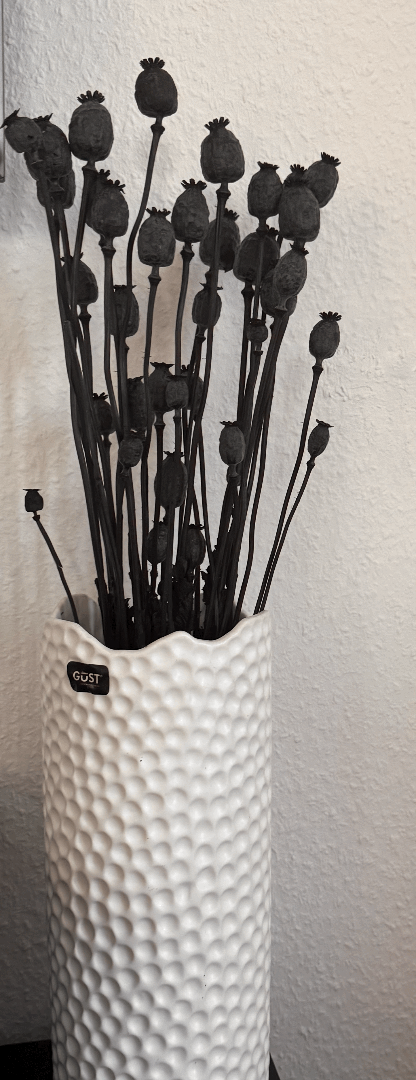 Getrockneter Mohnblumenstrauß in Schwarz