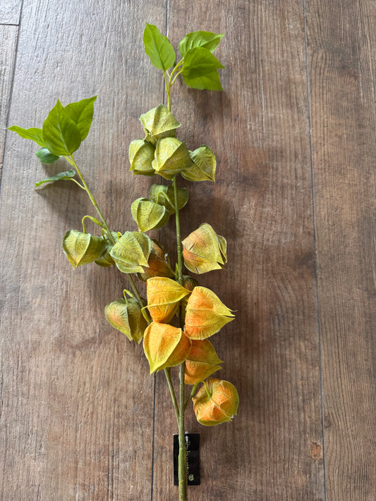 Physalis dekorativer Zweig grün/gelb 92 cm lang