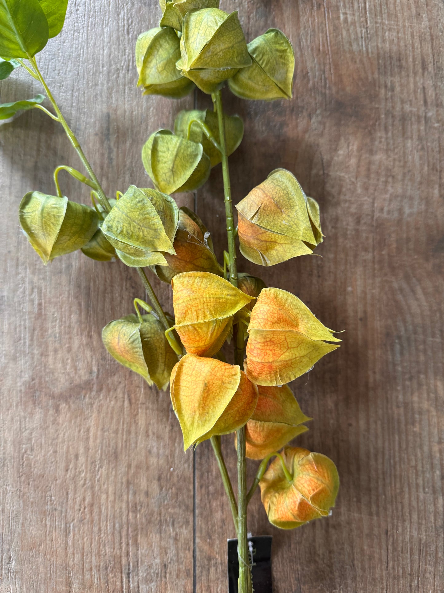 Physalis dekorativer Zweig grün/gelb 92 cm lang