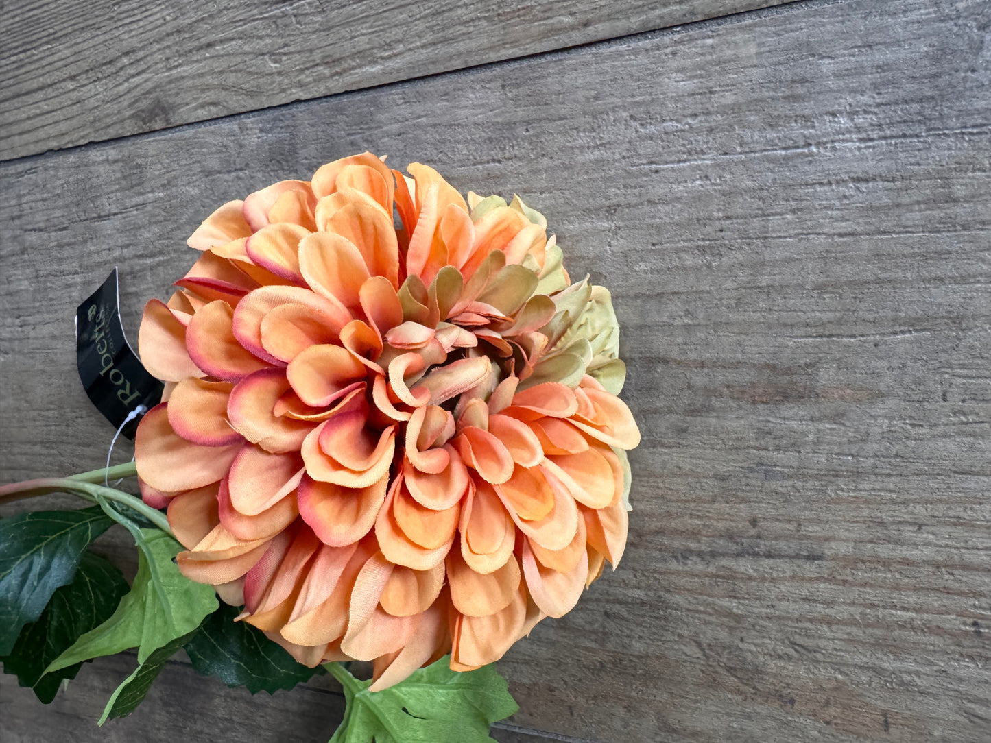 Dahlia Blume Orange 81 cm