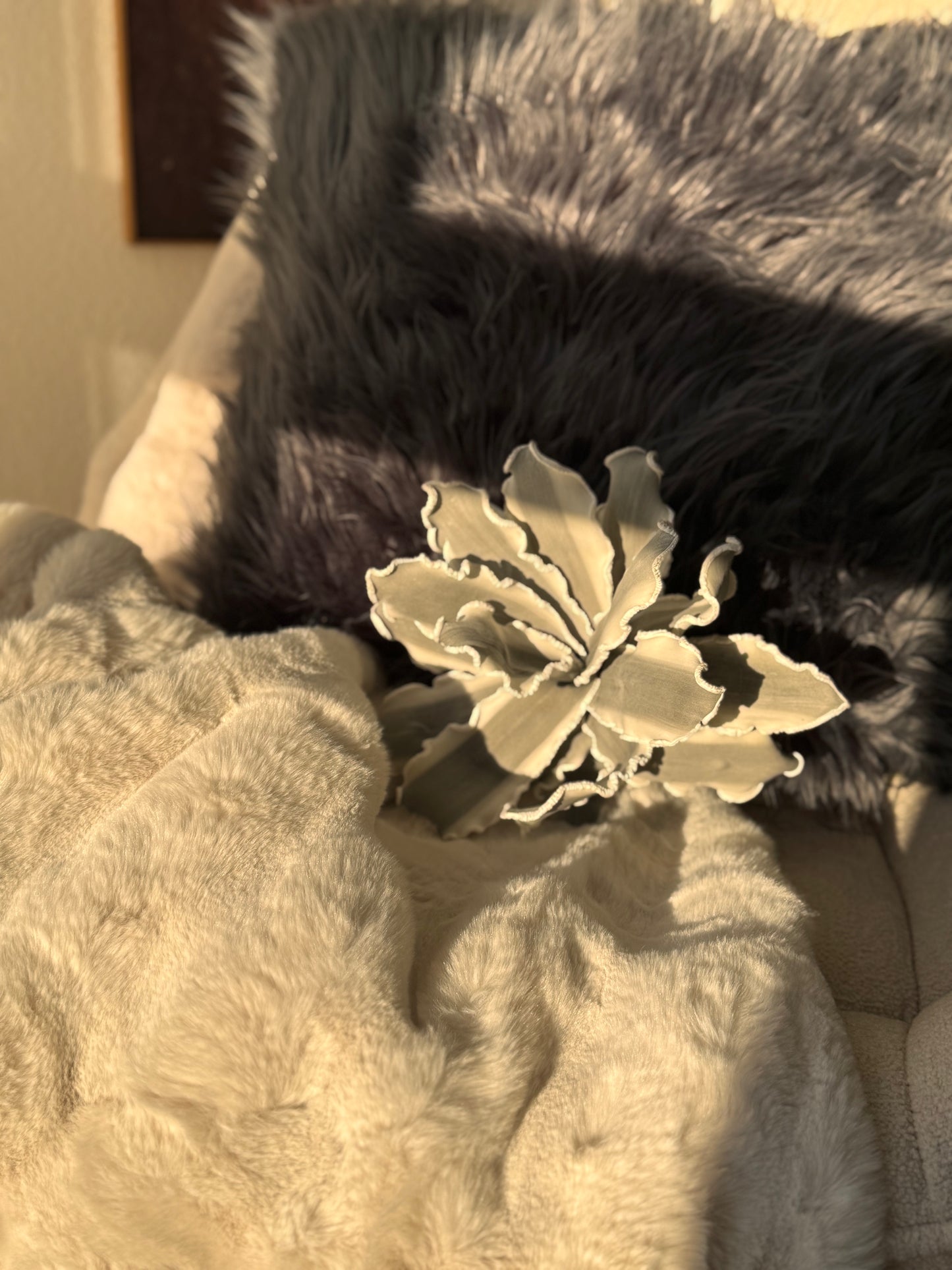 Kissen Langhaaroptik Tibet long hair sheep von Lavandoux in Grau 60 x 60 cm