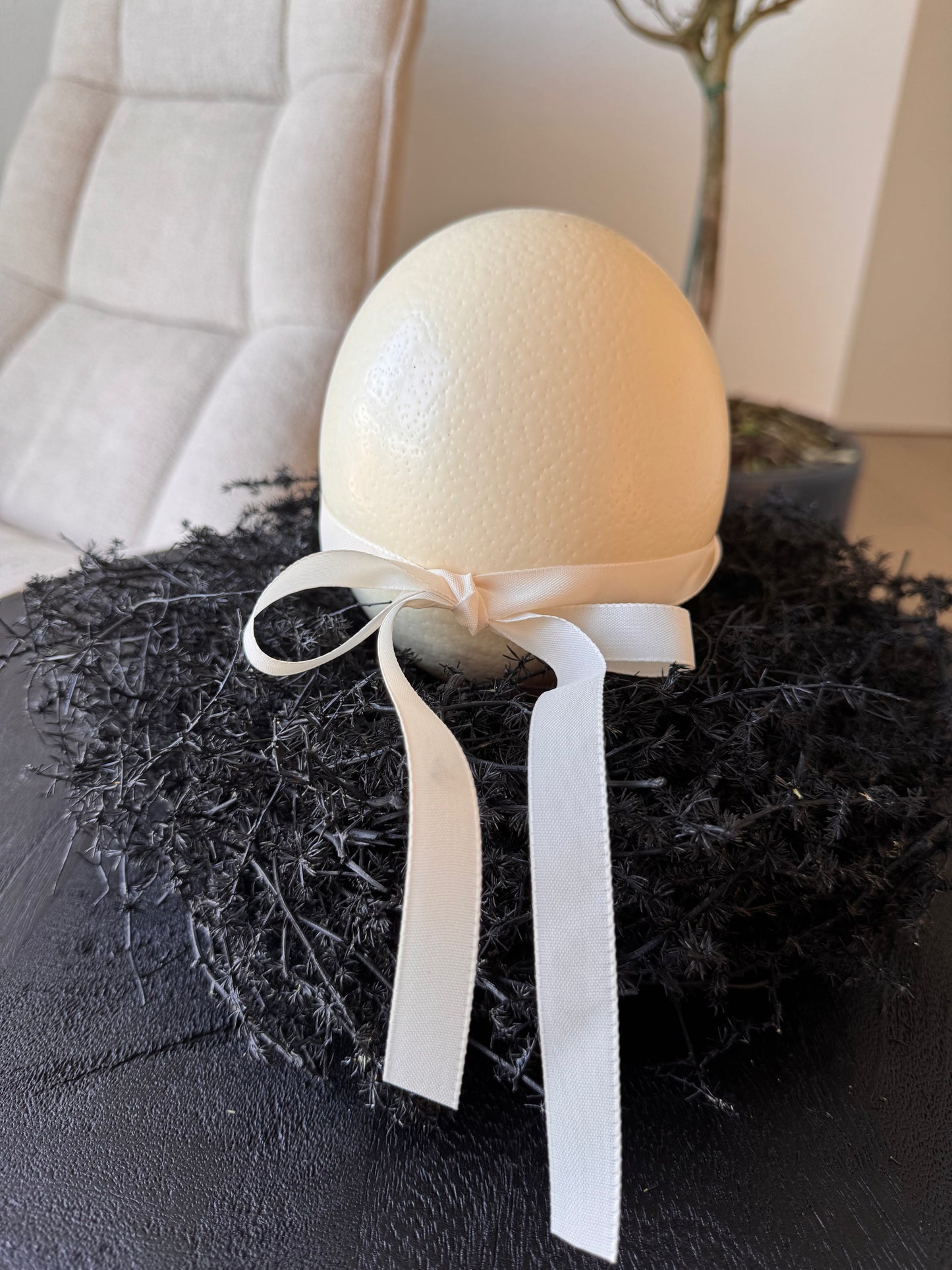 Asparagus Kranz schwarz ø 28 cm