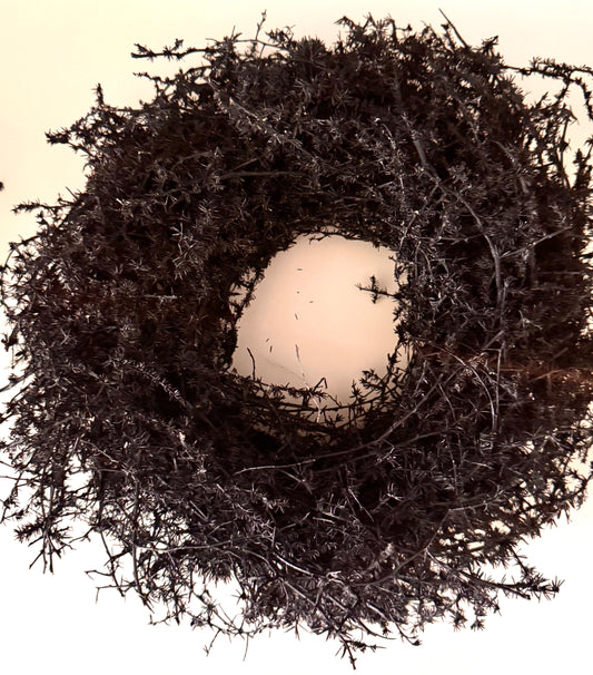 Asparagus Kranz schwarz ø 28 cm