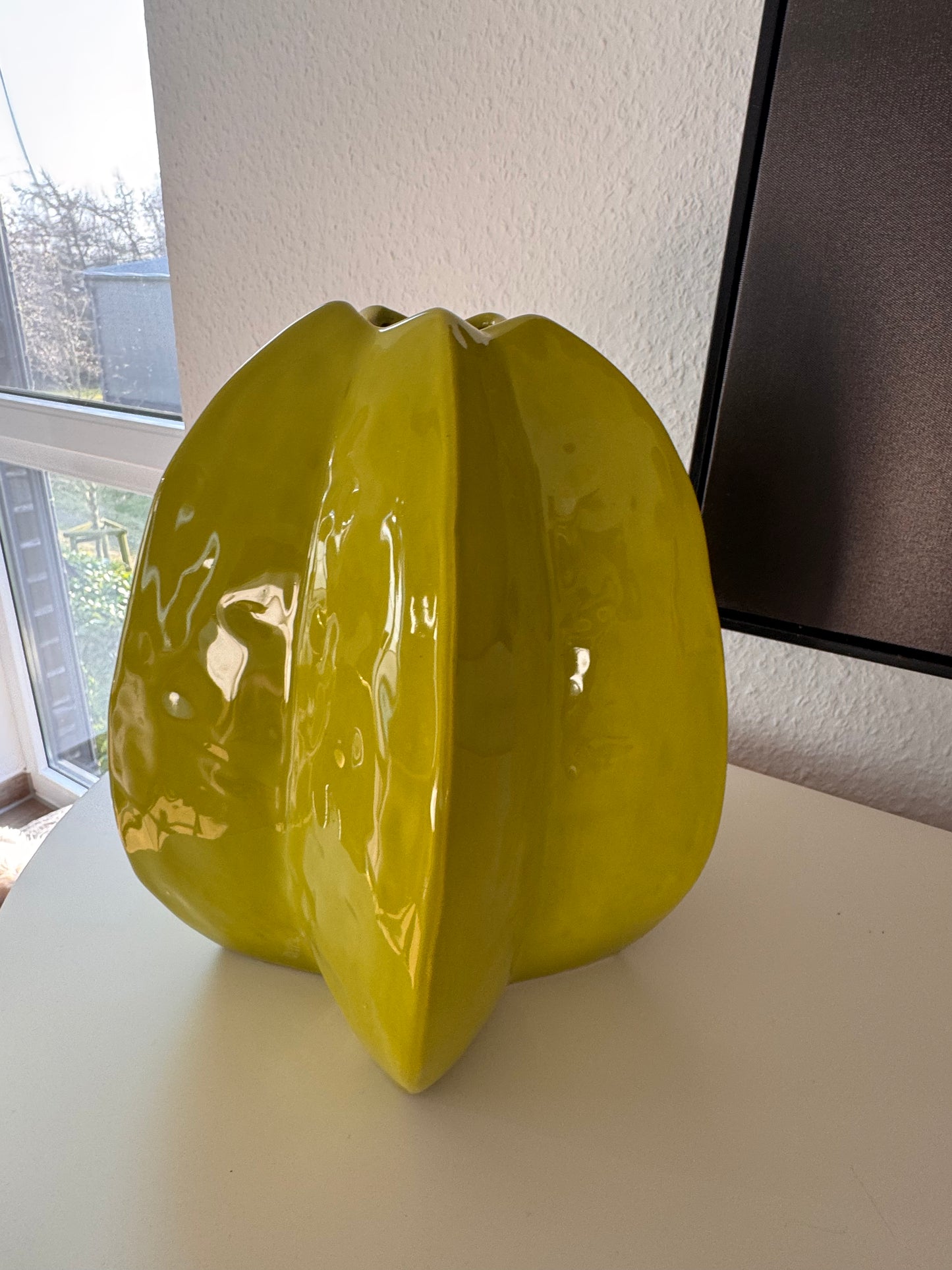 Blumenvase Sternfrucht grün XL von Countryfield