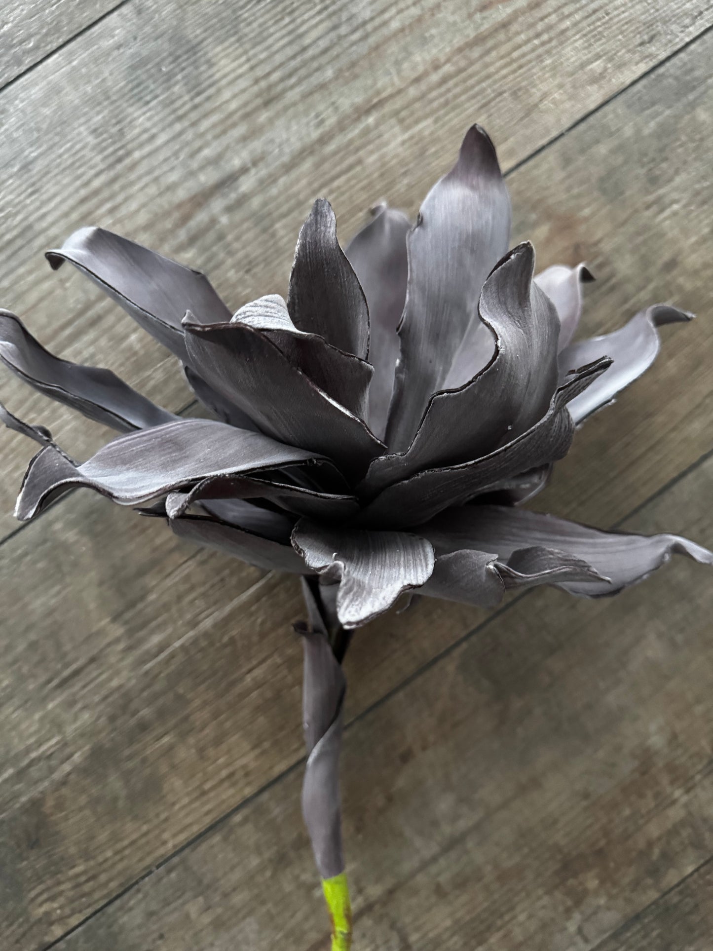 Einzigartige Kunstblume Magnolien Art in Anthrazit Braun ca.87 cm by luimes