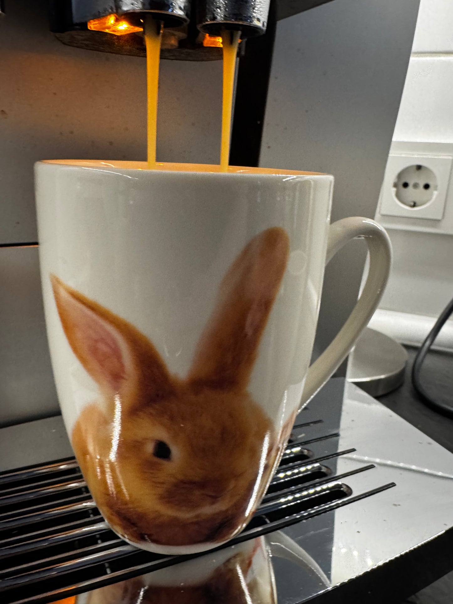 Becher Hasendekor aus Porzelan 340 ml von Wurm