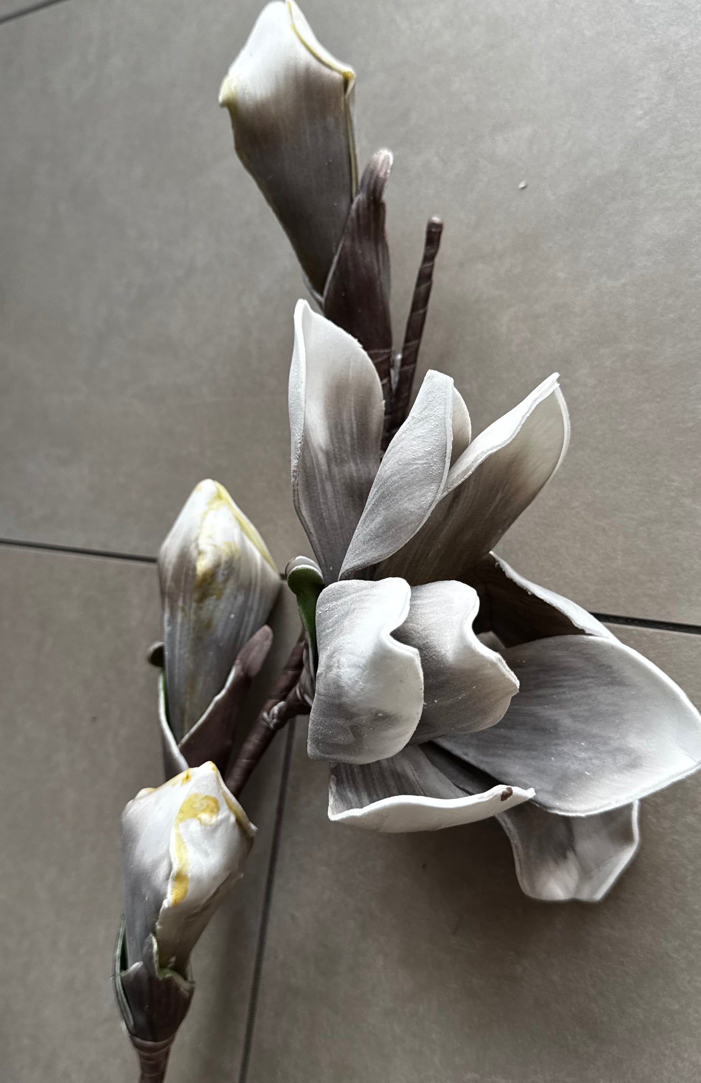 Magnolienzweig Emily in Grau 90 cm by Luimes & Luimes