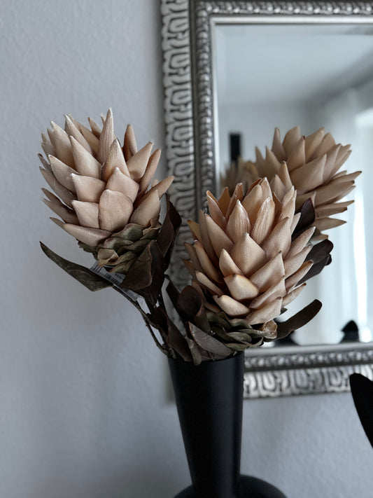 Künstliche Gingerflower/ Fackeliningwer  in Creme  77 cm