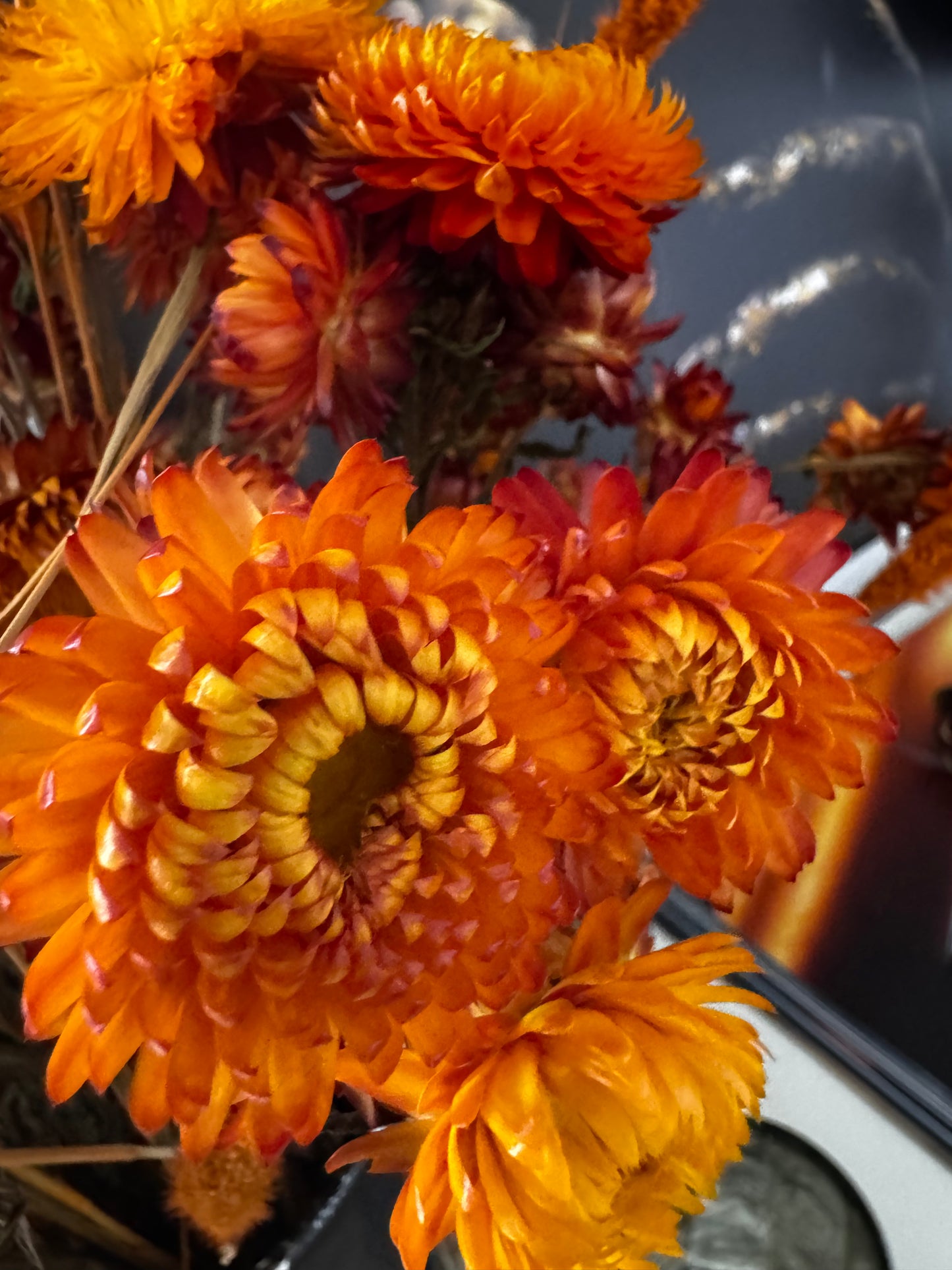 Strohblumen Bund  getrocknet in Orange- langlebige Deko