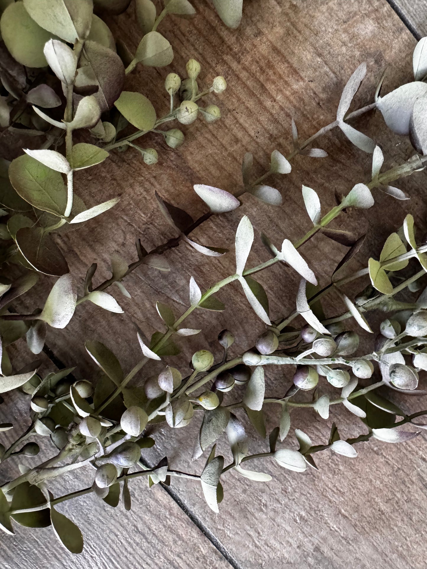 Eucalyptus hängend von Home Bound 95x40x15 cm