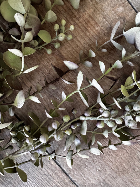 Eucalyptus hängend von Home Bound 95x40x15 cm