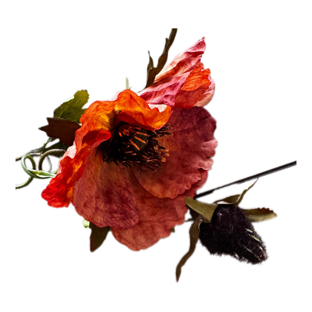 Mohnblume von Jelle Quint 85 cm in Orange/ Rot