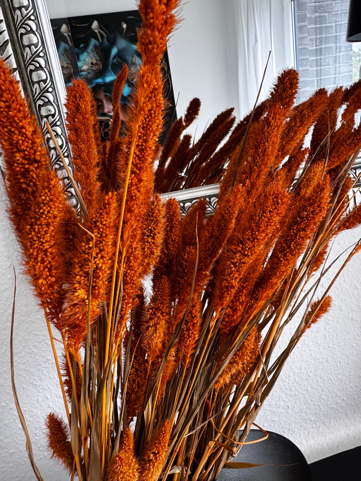 Ziergräser getrocknet in Orange - dekorative Trockenblumen/ Gräser