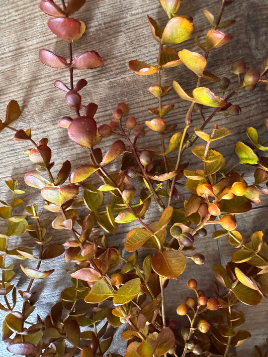 Künstlicher  Eukalyptus -für stilvolle Dekoration hängend Senfarbend