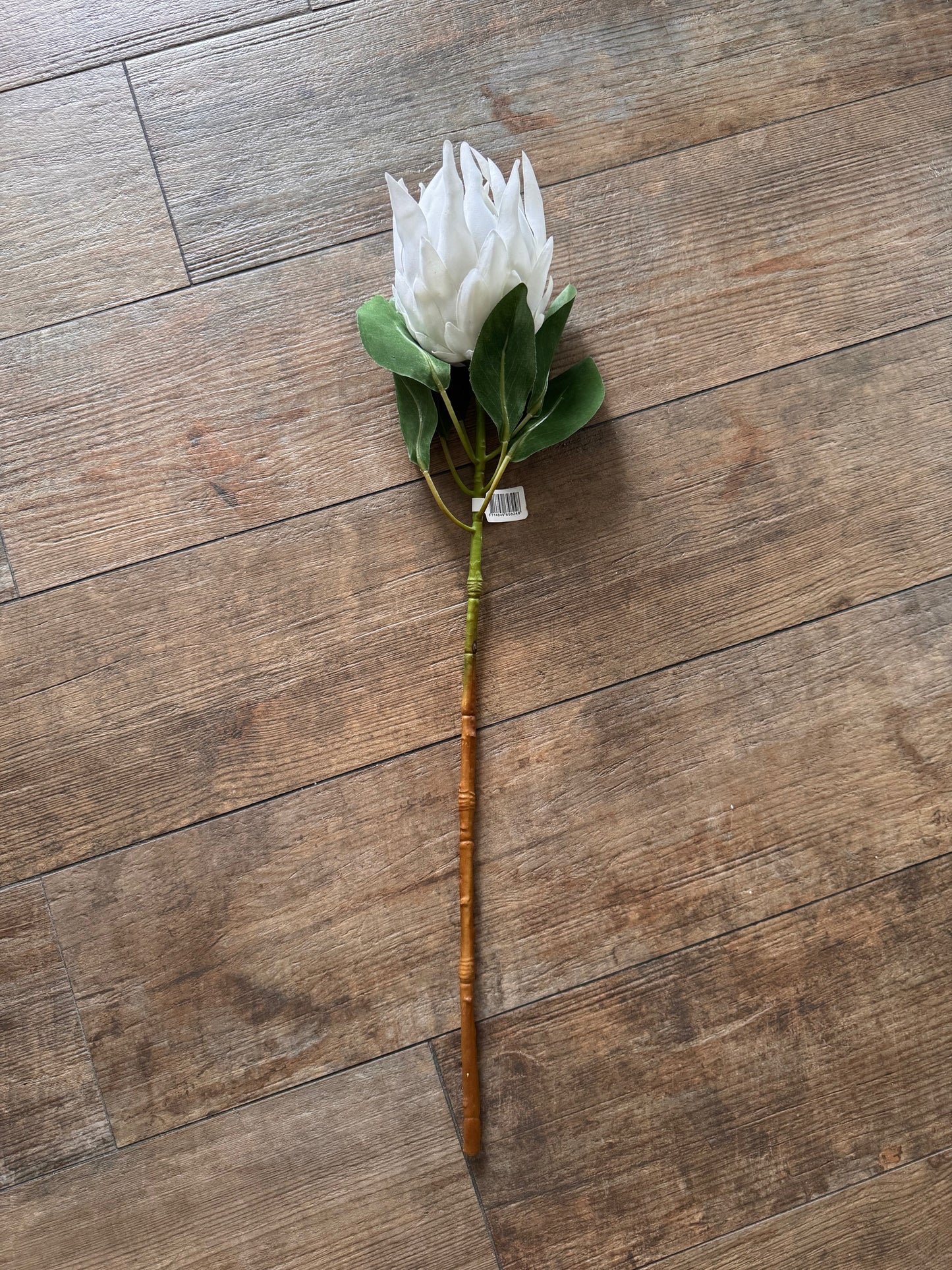 Künsticher  Queen Protea Stem Zweig -Langlebiger Zweig in Weiß