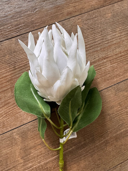 Künsticher  Queen Protea Stem Zweig -Langlebiger Zweig in Weiß