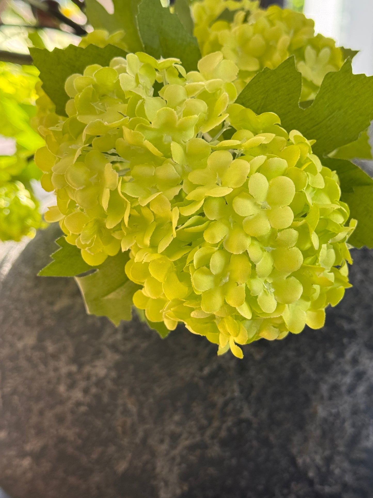 Künsticher Schneeball Pflanzenzweig Grün