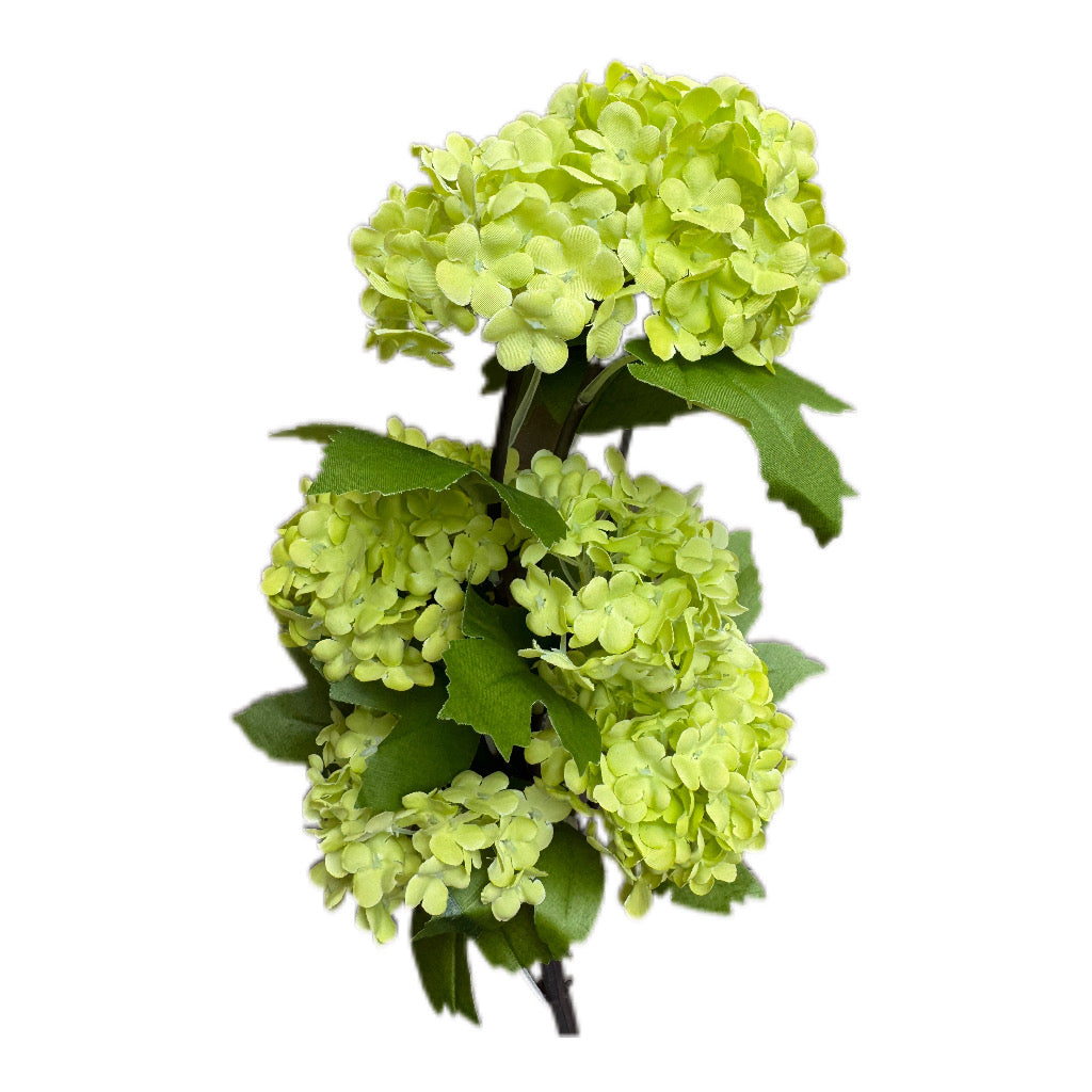 Künsticher Schneeball Pflanzenzweig Grün