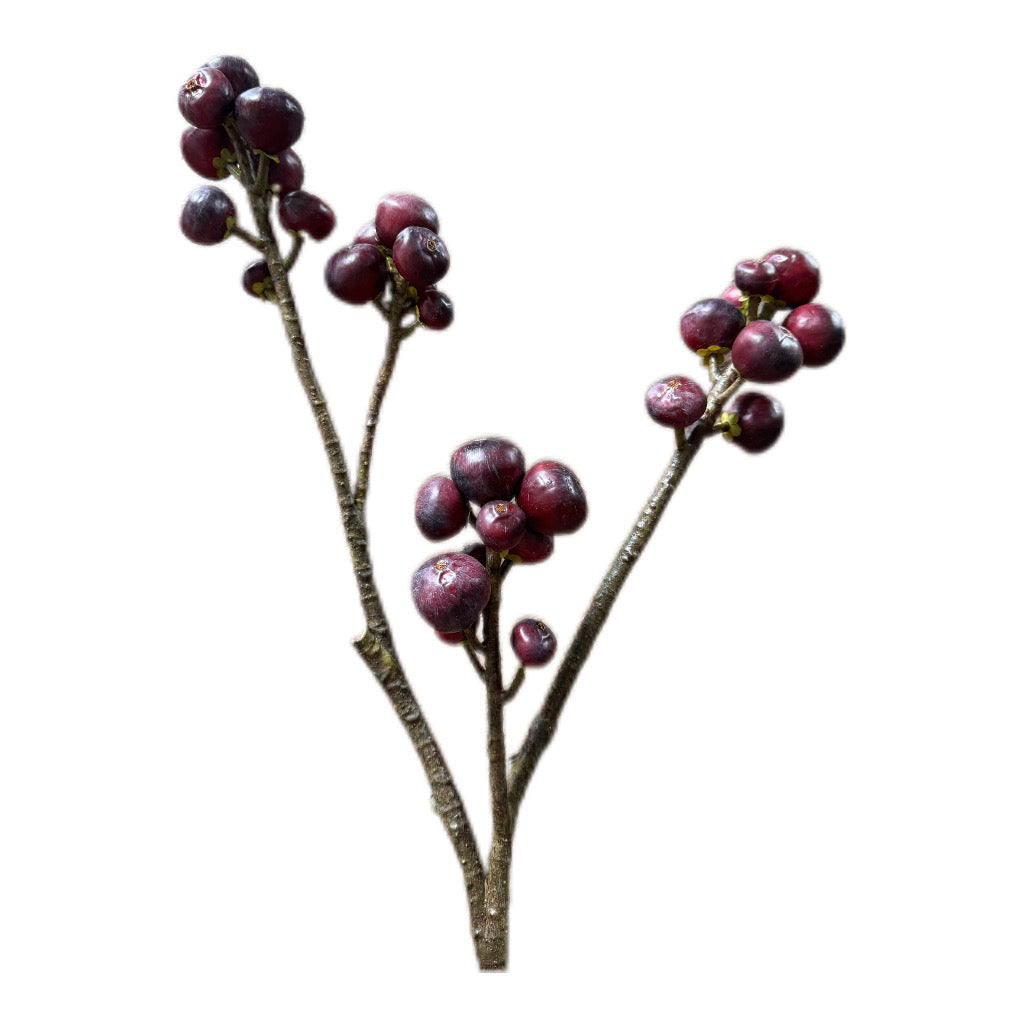 Künsticher Feigenzweig- Natürliche Frische für deine Dekoration