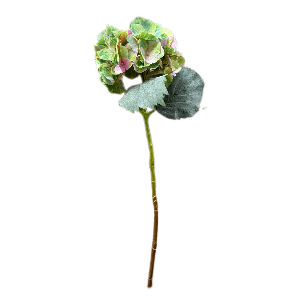 Kunsthortensie Zweig in Grün&Pink 66 cm