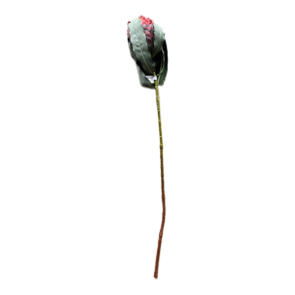 Künsticher Queen Protea Stem Zweig -Langlebiger Zweig - JP Lifestyle & More