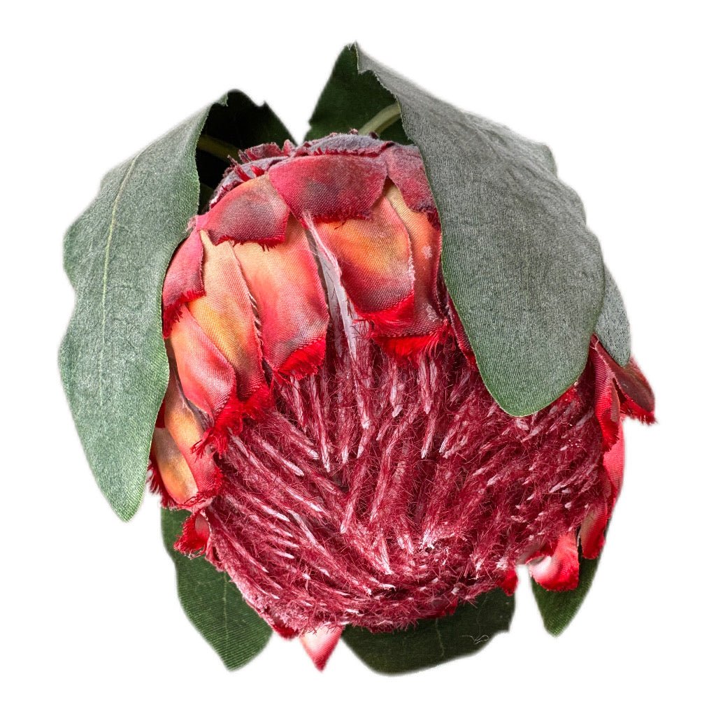 Künsticher Queen Protea Stem Zweig -Langlebiger Zweig - JP Lifestyle & More