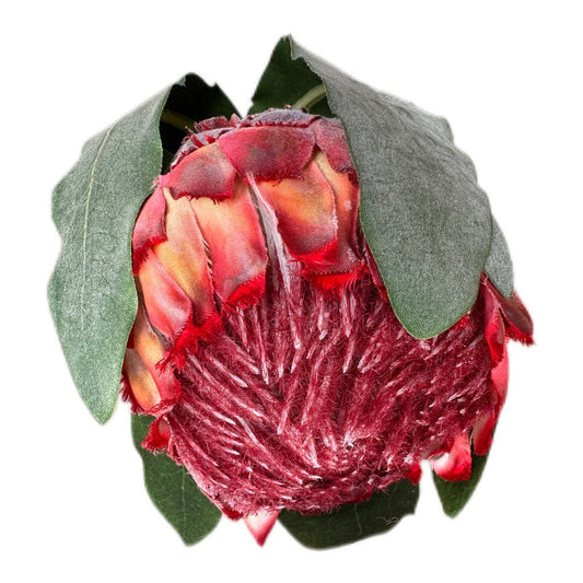 Künsticher Queen Protea Stem Zweig -Langlebiger Zweig - JP Lifestyle & More