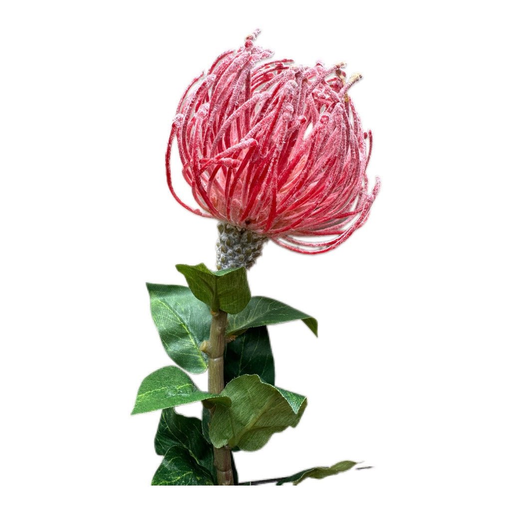 Künsticher Queen Protea Stem Zweig -Langlebiger Zweig in Pink - JP Lifestyle & More