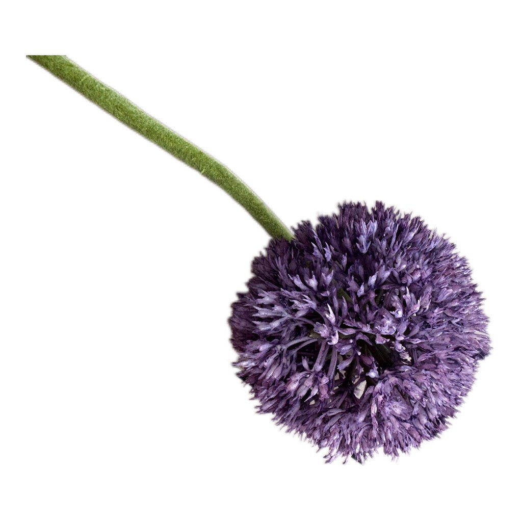 Kunstblume Allium Stern/ Zwiebel Lauchblume in Lila 64 cm - JP Lifestyle & More