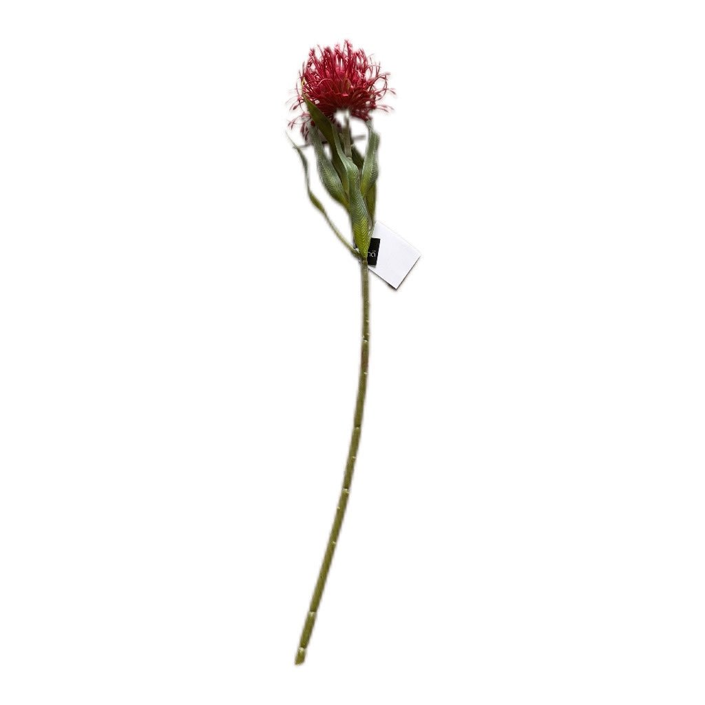 Protea Nadelkissen Blumenzweig Rot Pink 52 cm - JP Lifestyle & More