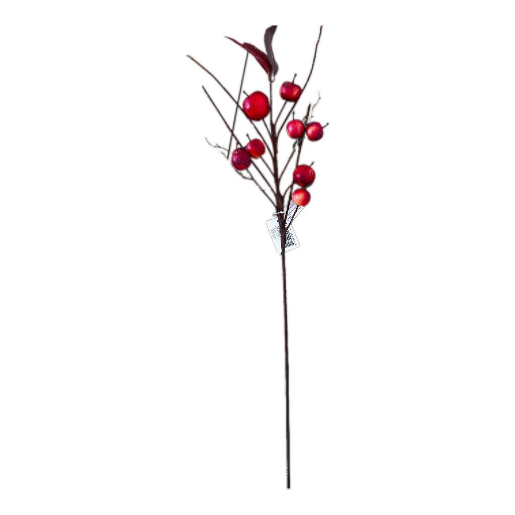 Viana Apfelzweig rot, 70 cm - JP Lifestyle & More