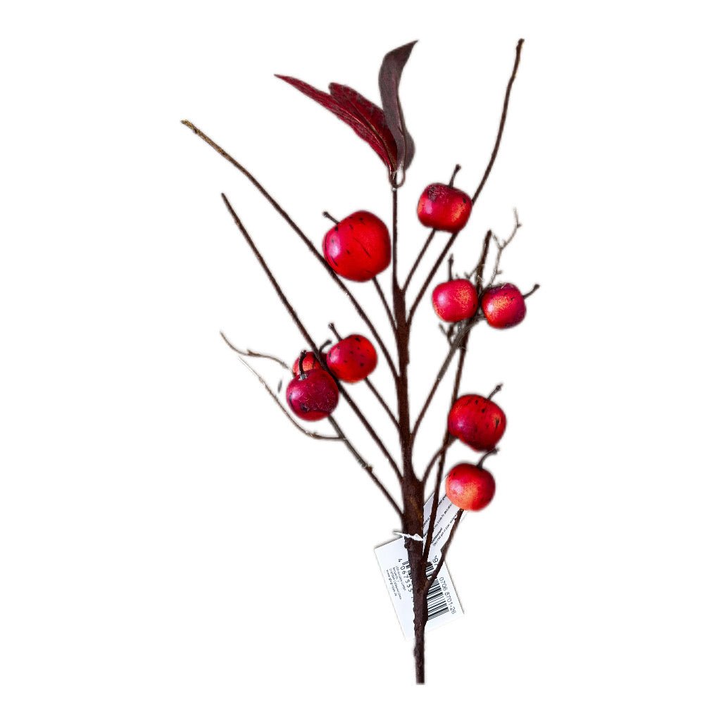 Viana Apfelzweig rot, 70 cm - JP Lifestyle & More